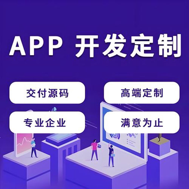 软件定制开发